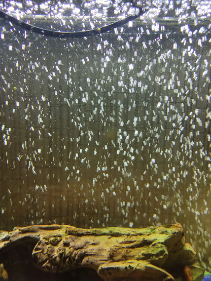 حجر هواء أكسجين للأحواض السمكية 10-40 سم | Aquarium Air Stone Bubble Bar