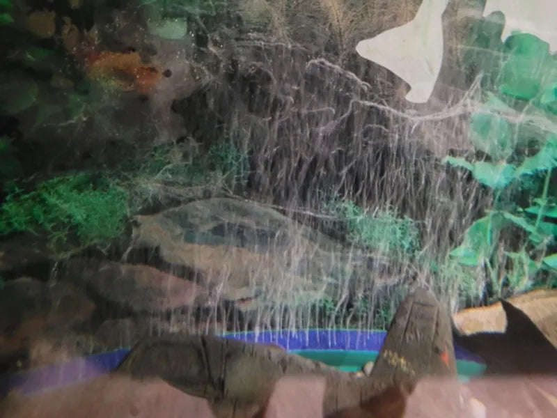 حجر هواء أكسجين للأحواض السمكية 10-40 سم | Aquarium Air Stone Bubble Bar